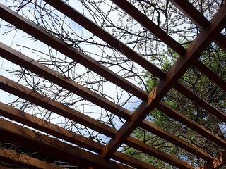 境之谷公園の藤の写真