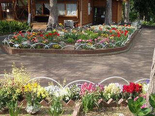 境之谷公園の花壇の写真