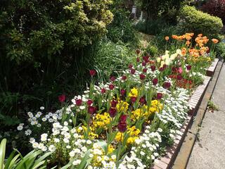西戸部二丁目公園の花壇の写真