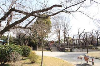 3月10日の野毛山公園の写真