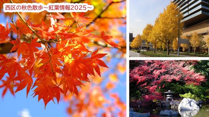 西区の紅葉がある景色