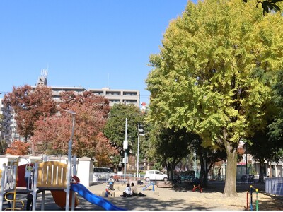 11月14日の戸部公園の紅葉