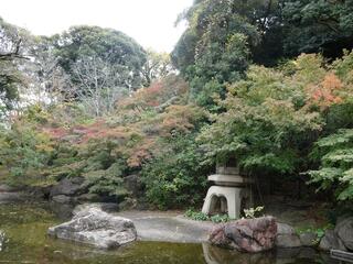 11月11日の掃部山公園の紅葉2