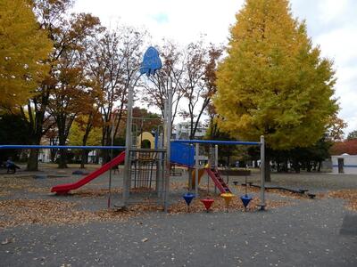 11月18日の社宮司公園の紅葉