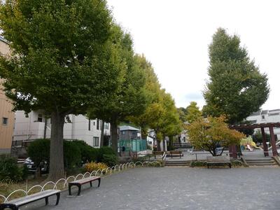 11月18日の大谷公園の紅葉