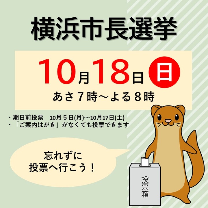 横浜市長選挙のお知らせ