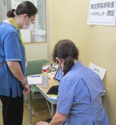 推定野菜摂取量測定