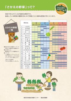 「さかえの野菜」って？