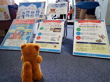 食中毒啓発パネル（アニサキス・カンピロバクターについて）をながめるタッチーくん