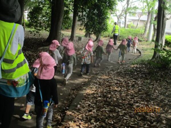 桂台保育園（おさんぽ）