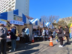 This is a photo (first photo) of the day of the yakisoba tournament.