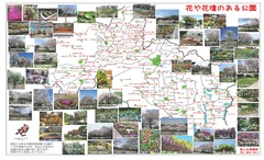 令和7年度公園の花と花壇