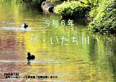 2024 calendar "The Itachikawa"
