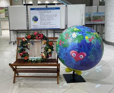 イロドリフェスタ