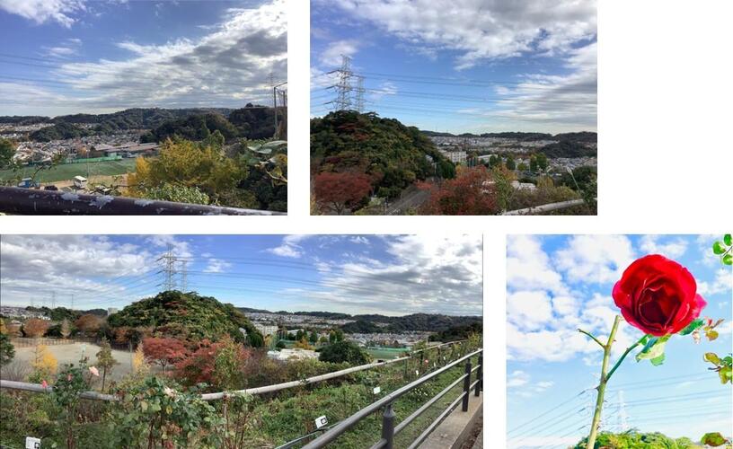 上郷あじさいの丘周辺