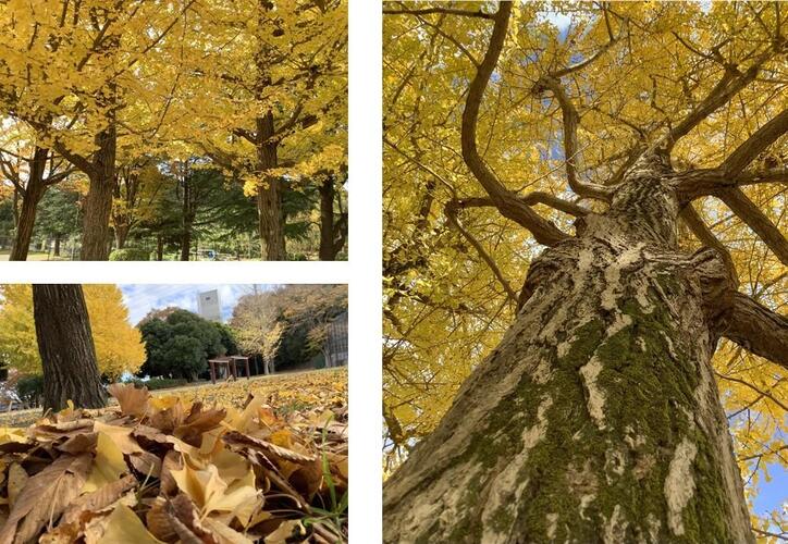 野七里第一公園