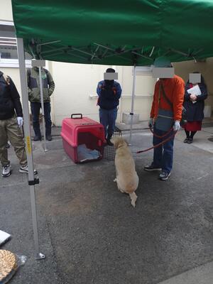 ペット同行避難訓練写真１