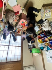 室内で遊んでいるこどもの写真