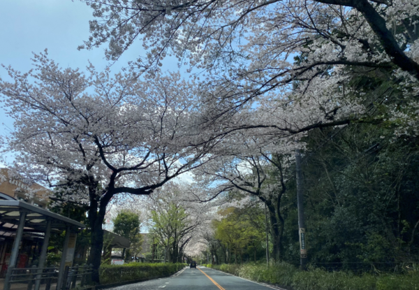 Nosakai Road