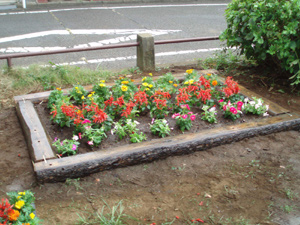 Image of flower bed