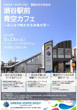 チラシデータ
