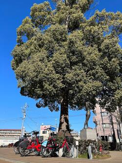 瀬谷区役所前ポート