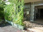 瀬谷土木事務所の緑のカーテンの画像