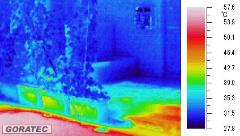 サーモグラフィカメラで撮影した緑のカーテンの画像