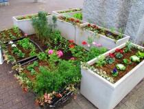 秋・冬の北口花壇の画像