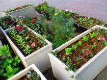 植え替え後花壇の画像