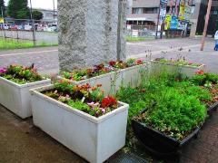 北口花壇の左からの画像