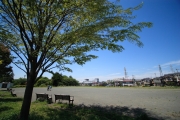 上瀬谷公園の写真