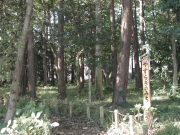 宮沢ふれあい樹林の写真