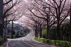 武相国境の写真