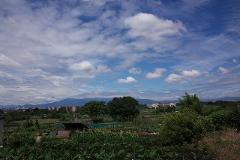 瀬谷の原の写真