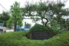 梛の木の石碑の写真