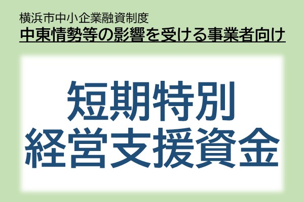 短期特別経営支援資金