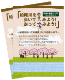 Leaflet: Let's walk along the Kashio River