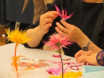 フェザーフラワー