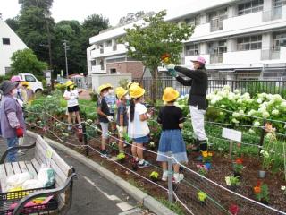 舞岡川遊水地公園での舞岡小学校生徒さんによる花植え