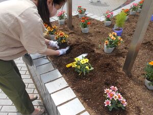 花植え3