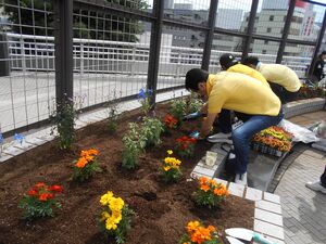 花植え4