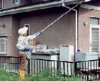 軒下の巣に使用中の絵