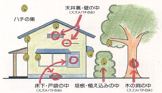 巣を作りやすい場所