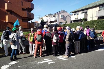 道端の薬草を観察中@薬草ウォーキングの画像