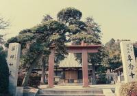 Sennen-ji Temple