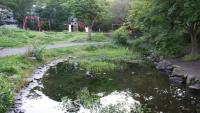 골짜기 야베 연못 공원 4