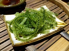 海ぶどう