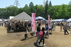 Mitsuike Park Festival 01