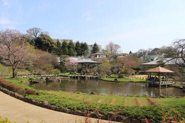馬場花木園の写真